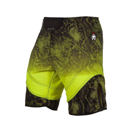 MMA Shorts 1