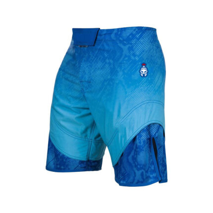 MMA Shorts 2
