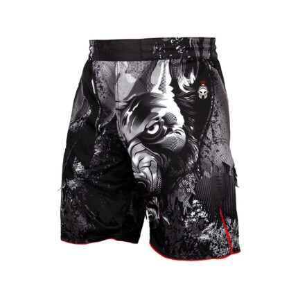 MMA Shorts 5