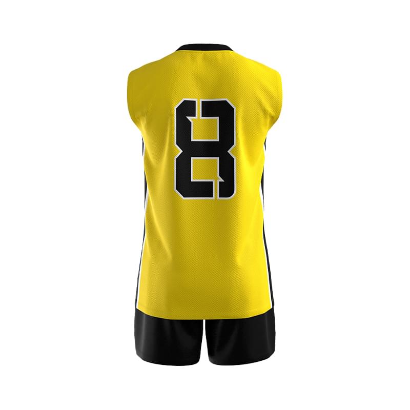 Volleyball-Back 01